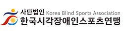 한국시각장애인스포츠연맹